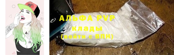 ECSTASY Богородицк