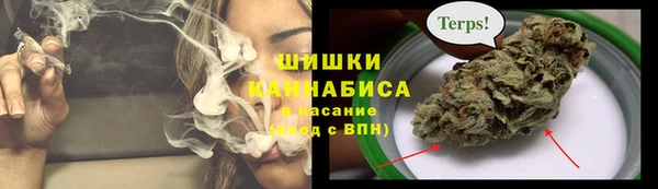 ECSTASY Богородицк