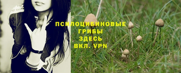 тгк Сясьстрой