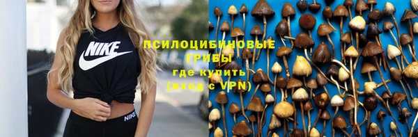 кокс Тайга