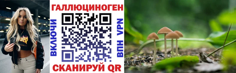 мориарти официальный сайт  Кирсанов  Псилоцибиновые грибы Psilocybine cubensis 
