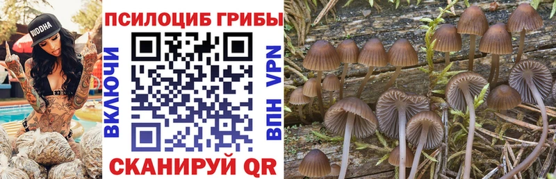 Псилоцибиновые грибы Cubensis Кирсанов