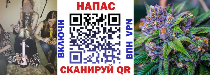 Бошки Шишки ГИДРОПОН  Кирсанов 
